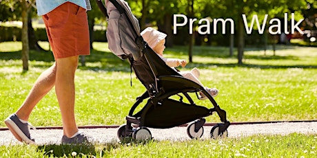 Pram Walk at Kalang Park along the Blackburn Creeklands