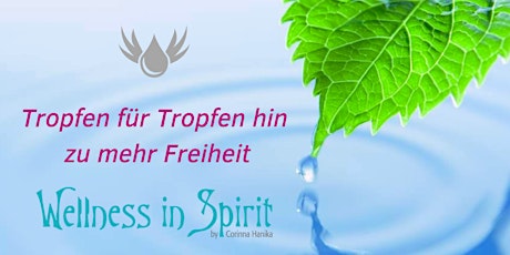 Hauptbild für Raindrop Training in Thüringen - Wellness für Körper und Geist