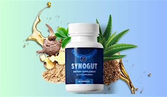 SynoGut Reviews 2024: Does It Deliver on Gut Health Benefits? primary image