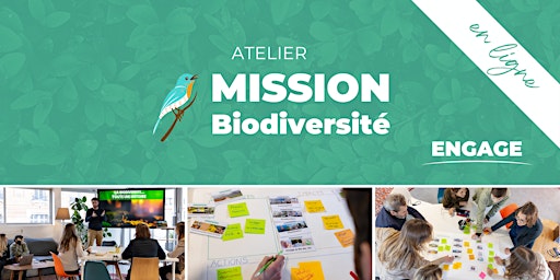 Image principale de Atelier MISSION Biodiversité (en ligne)