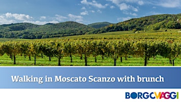 Passeggiata guidata e brunch nelle meravigliose Terre del Moscato di Scanzo  primärbild