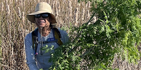 Primaire afbeelding van Weeding for Wildlife