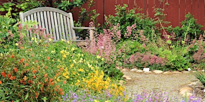 Hauptbild für Easy to Grow Native California Keystone Plants for Sun and Shade