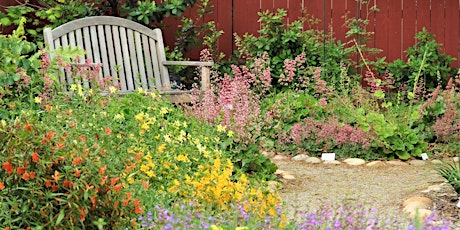 Easy to Grow Native California Keystone Plants for Sun and Shade