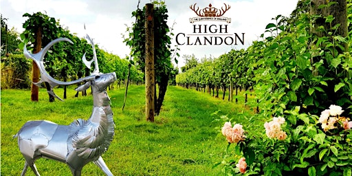 Immagine principale di Experience High Clandon Vineyard's magical Tour, Talk, Tasting 