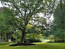 Outdoor mini retreat Liever voor mezelf primary image