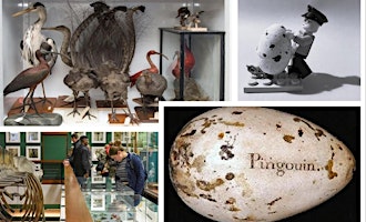 Easter at the Zoology Museum - Lunchtime Tour primary image