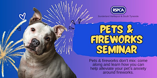 Image principale de Pets & Fireworks Seminar: alleviate your pet's anxiety