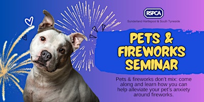 Pets & Fireworks Seminar: alleviate your pet's anxiety primary image