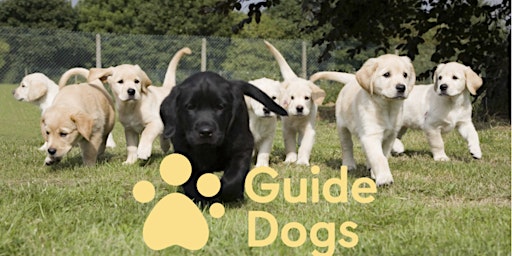 Hauptbild für Guide Dogs Coffee Morning