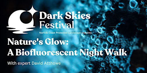 Nature's Glow: A Biofluorescent Night Walk primary image