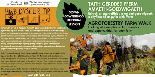 Taith Gerdded Amaeth-Goedwigaeth | Agroforestry Farm Walk primary image