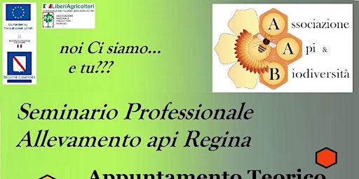 Imagem principal de Seminario professionale Allevamento api regina