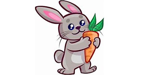 Hauptbild für Spring Rabbit - Programming Basics