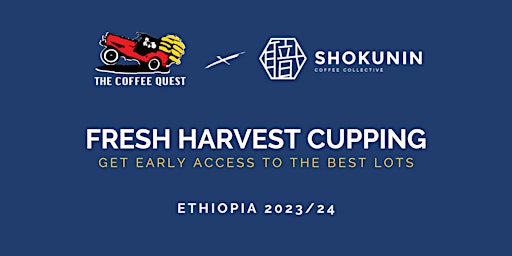 Imagen principal de Fresh Harvest Cupping at Shokunin | Ethiopia 2023/24