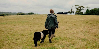 Hauptbild für Local Volunteers Event: Nunwell Home Farm Guided Walk