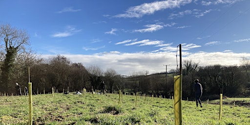 Imagen principal de Tree Planting near Bickington