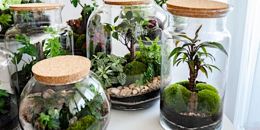 Primaire afbeelding van Craft Cocktails and Terrariums with Craft|One|Half