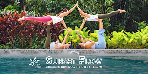 Imagem principal do evento Yoga Seeds x Wheeler's Tropikana: Sunset Flow