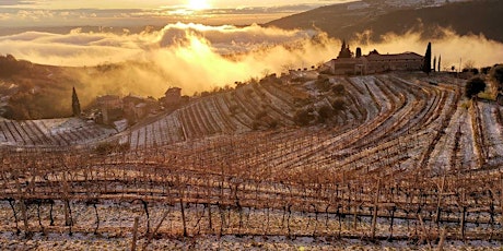 Amarone della Valpolicella