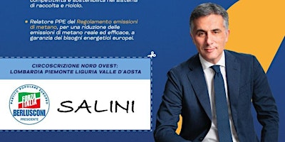 Incontro con Massimiliano Salini  primärbild