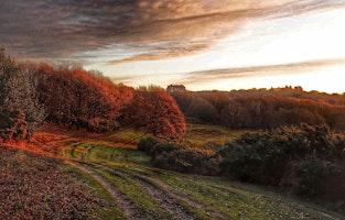 Imagem principal do evento Dawn Chorus Walk with Tom Forward, Wildlife Guide