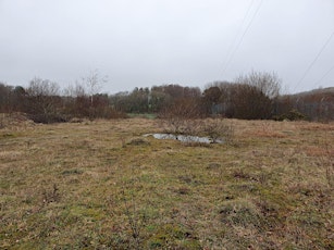 Middleton Nature Reserve Invertebrate Recording Day