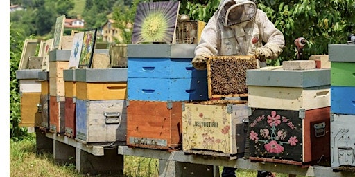 Imagem principal do evento Apiario D'autore - Natura, ovvero le virtù delle api