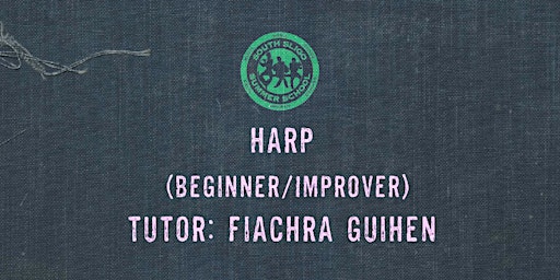 Primaire afbeelding van Harp Workshop: Beginner/Improver - (Fiachra Guihen)