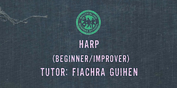 Harp Workshop: Beginner/Improver - (Fiachra Guihen)