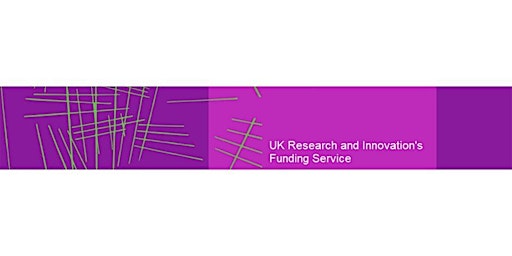 Funding Service Webinar: introduction to accepting and managing Awards primary image