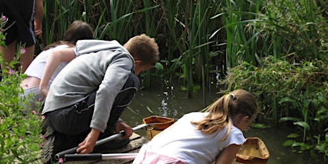 Thameside Pond Dipping