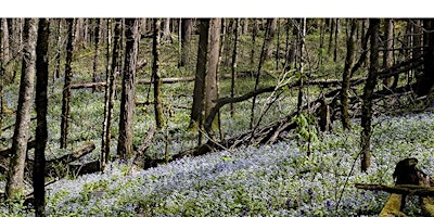 Hike at Shrader Weaver Nature Preserve primary image