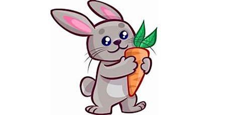 Spring Rabbit - Programming Basics