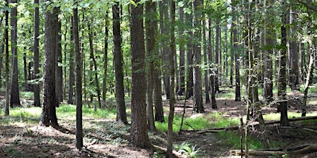 2024 Edgecombe County Forestry Banquet