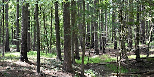 Image principale de 2024 Edgecombe County Forestry Banquet