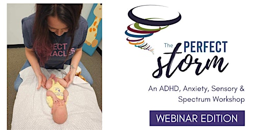 Primaire afbeelding van The Perfect Storm Webinar