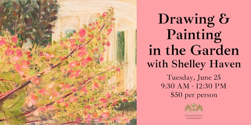 Imagem principal do evento Drawing and Painting in the Garden with Shelley Haven - June 25