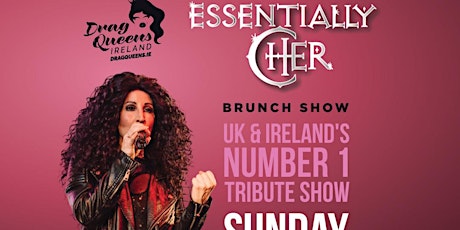 Cher Brunch  Show Bank Lane Waterford.