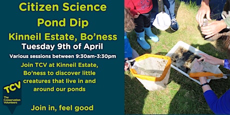 Pond Dipping primary image