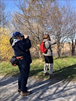 Imagen principal de Spring Migration Hike for Families - Introduction to Birding