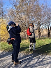 Spring Migration Hike - Introduction to Birding