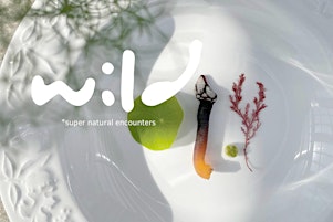 Wild Food & Foraging Dining Experience - Azenhas Do Mar, in Sintra, Lisbon primary image