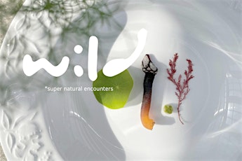 Wild Food & Foraging Dining Experience - Azenhas Do Mar, in Sintra, Lisbon