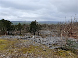 Dalton Crags Invertebrate Recording Day primary image