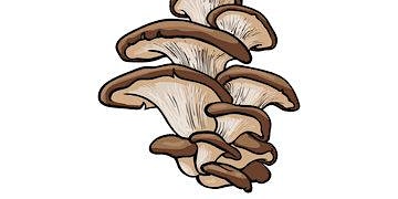 Mushrooms in the Garden primary image