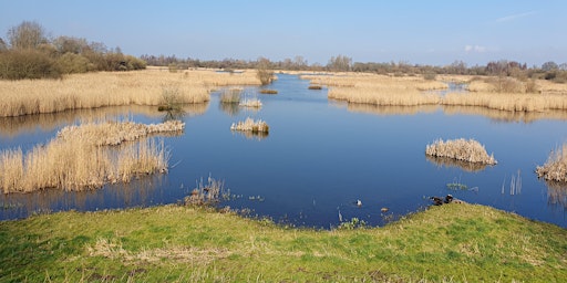 Woolston Eyes Invertebrate Recording Day  primärbild