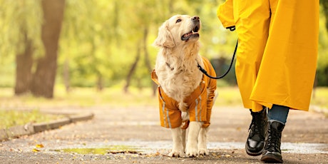 Tails on Trails primary image