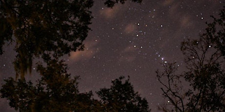 Image principale de Night Hike in the Preserve