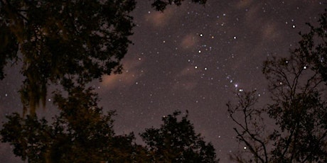 Immagine principale di Night Hike in the Preserve 